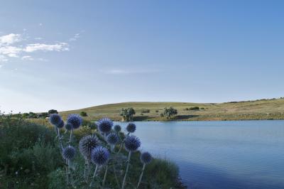 Прикрепленное изображение: img_0001_04.jpg